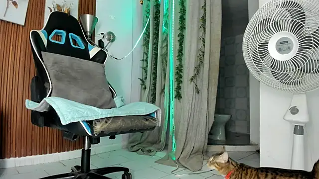 Darwin mayo online show from December 22, 5:32 pm