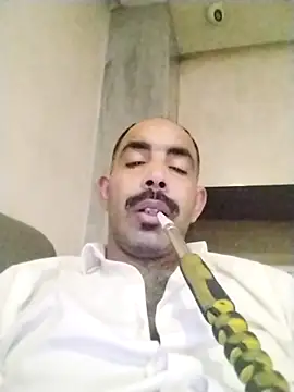 salimbasha online show from November 29, 7:28 pm