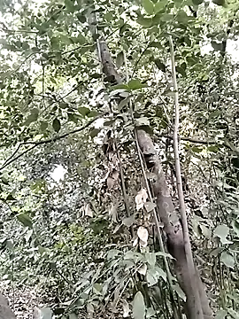 KalendaXL online show from April 5, 4:15 pm