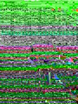 Snapshot of kamo012000 chatting on June 19, 10:08 am kamo012000 online show from June 19, 10:08 am