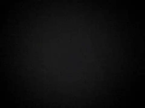 Snapshot of 20cmloiro chatting on January 6, 6:17 am 20cmloiro online show from January 6, 6:17 am