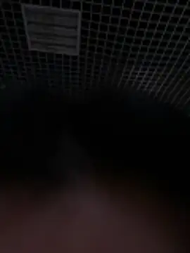 Liza Will online show from February 20, 9:00 am