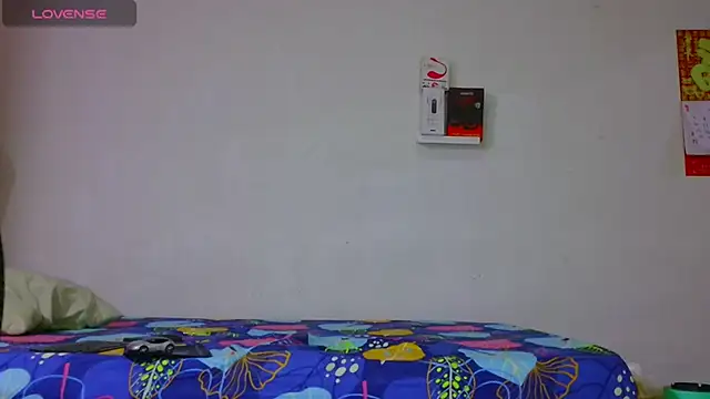 dylan apol0 online show from March 17, 2:16 am