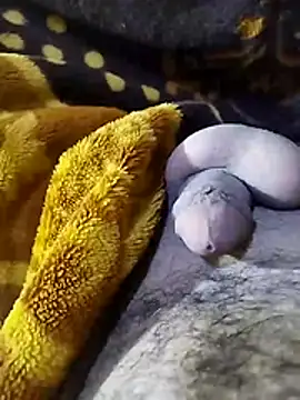 Snapshot of ADAM50001 chatting on April 2, 2:42 am ADAM50001 online show from April 2, 2:42 am