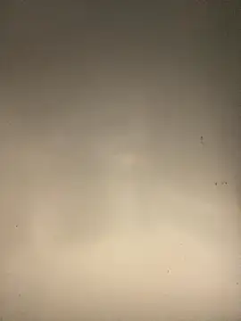 Snapshot of sasatimido chatting on October 14, 3:13 pm sasatimido online show from October 14, 3:13 pm