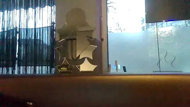 ARTANIS20 online show from February 1, 6:56 am