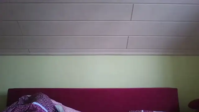 Snapshot of vers92_seb chatting on February 4, 9:04 am vers92 seb online show from February 4, 9:04 am