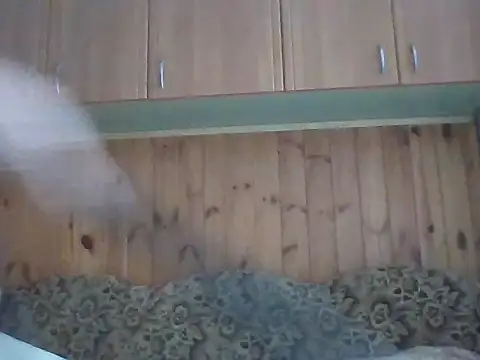 Snapshot of Maksymilian1 chatting on February 22, 9:41 am Maksymilian1 online show from February 22, 9:41 am