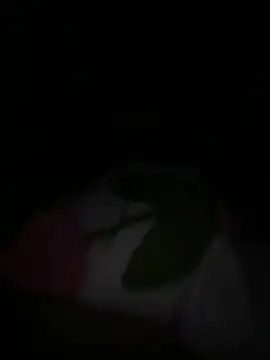 tarantan1993 online show from March 5, 11:01 pm