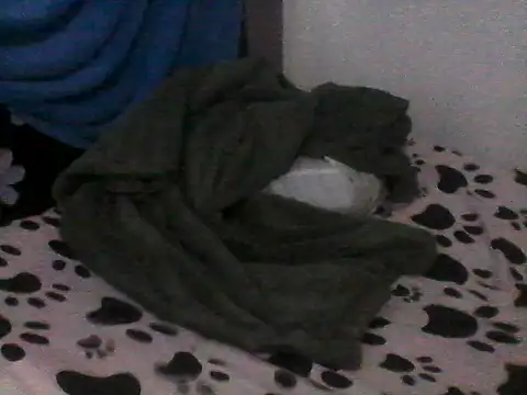 jade tall online show from October 19, 12:17 pm