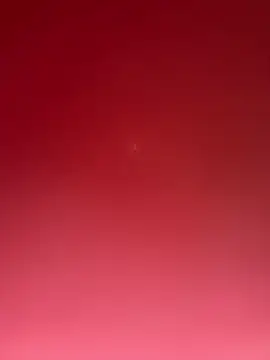 curis4270panda online show from March 4, 12:00 pm