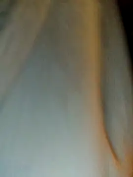 himNIGuys online show from February 11, 7:08 pm