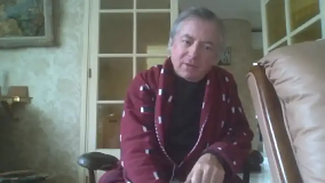 gegevincent online show from January 9, 2:20 pm