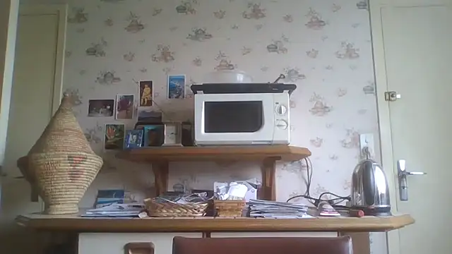 gegevincent online show from May 3, 11:27 am