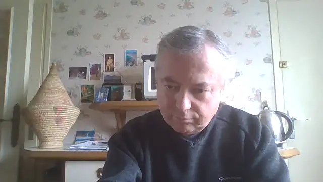 gegevincent online show from May 9, 12:10 pm
