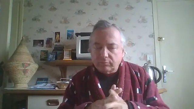 gegevincent online show from May 16, 11:20 am