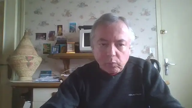 gegevincent online show from May 17, 10:55 am