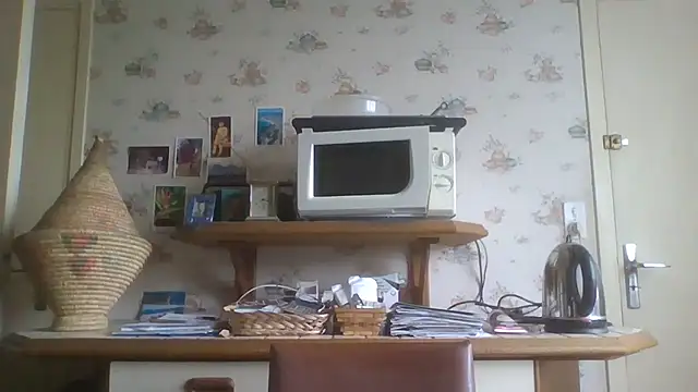gegevincent online show from May 18, 8:20 am