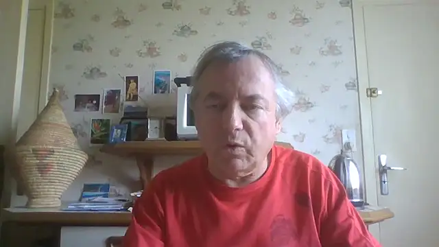 gegevincent online show from May 19, 12:33 pm