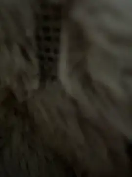 anonimgirl18old online show from February 25, 8:35 am