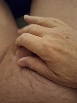 minnetird online show from February 4, 6:41 am