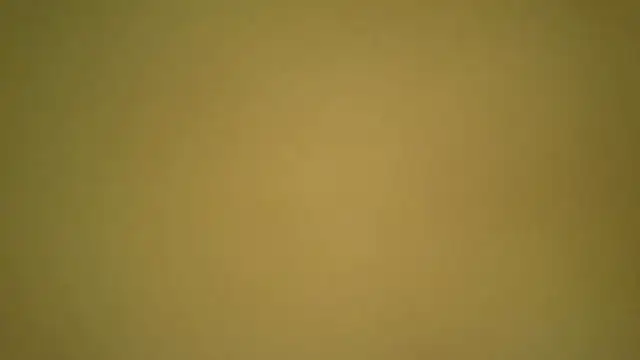 Snapshot of hakhakk chatting on January 10, 1:57 pm hakhakk online show from January 10, 1:57 pm