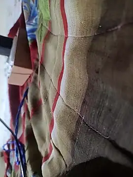 Telugu person12 online show from February 16, 9:00 pm