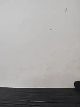 Telugu person12 online show from February 28, 5:08 am