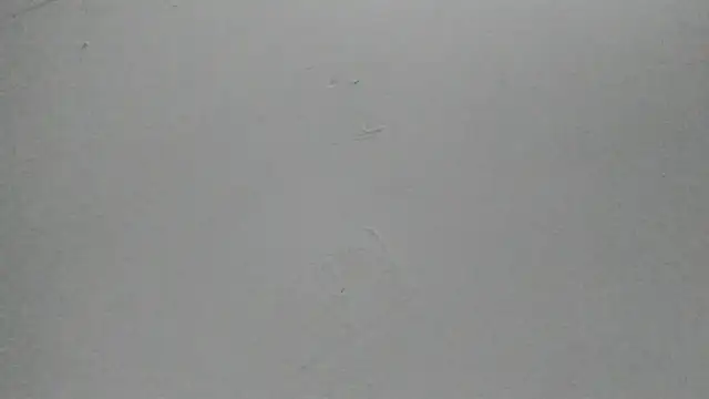 Sophia Ebony online show from February 25, 12:04 pm