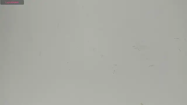 Snapshot of Sophia_Ebony chatting on June 22, 12:24 pm Sophia Ebony online show from June 22, 12:24 pm
