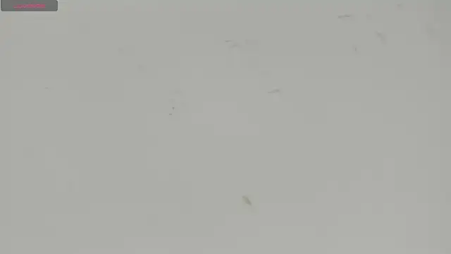 Snapshot of Sophia_Ebony chatting on July 15, 12:10 pm Sophia Ebony online show from July 15, 12:10 pm