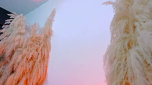 Snapshot of JulietaDavis chatting on February 19, 8:10 am JulietaDavis online show from February 19, 8:10 am