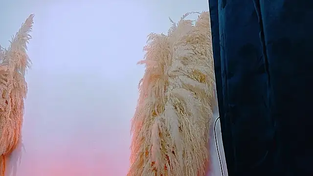 Snapshot of JulietaDavis chatting on February 22, 9:41 am JulietaDavis online show from February 22, 9:41 am