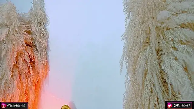 JulietaDavis online show from April 17, 9:34 am