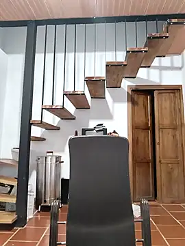 Hiroshi Shen online show from November 14, 10:36 am