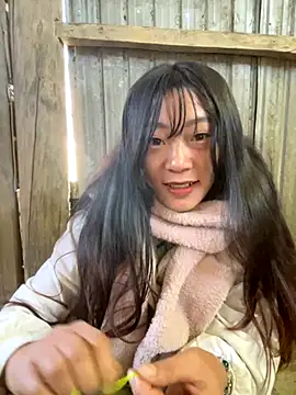 isaaa5 online show from November 28, 2:58 am