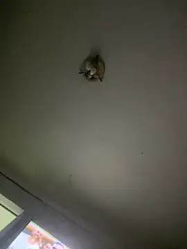 Isabelaa  online show from March 28, 3:28 am