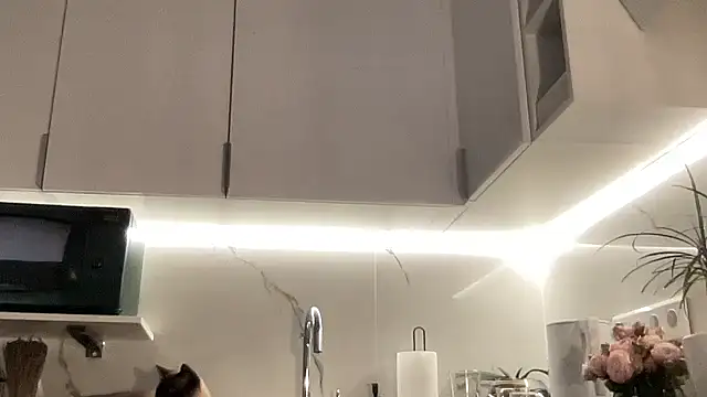 Snapshot of Gidelii chatting on October 13, 6:52 pm Gidelii online show from October 13, 6:52 pm