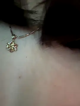 Snapshot of Link_lee chatting on November 28, 1:41 am Link lee online show from November 28, 1:41 am