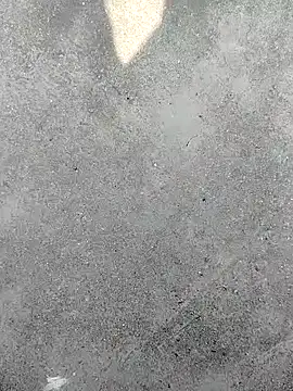 t2pnb online show from December 4, 6:23 am