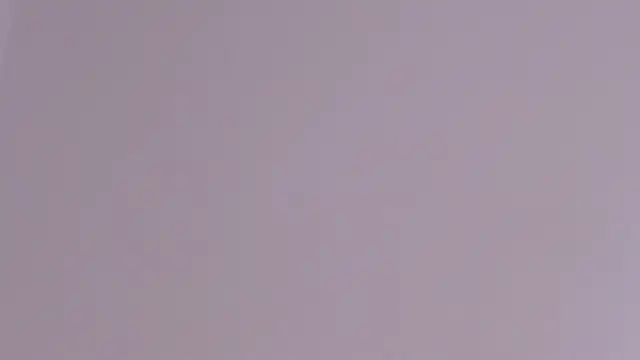 axel davis  online show from February 24, 3:54 pm