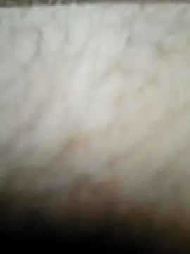 Snapshot of nikads0 chatting on May 19, 1:39 pm nikads0 online show from May 19, 1:39 pm
