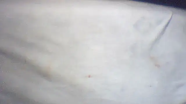 pietje1991 online show from February 25, 1:43 pm