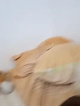 Snapshot of Blackpanther0115 chatting on October 3, 10:34 am Blackpanther0115 online show from October 3, 10:34 am