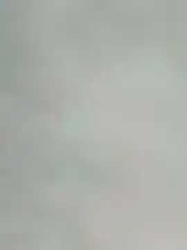 saik 03 online show from February 17, 7:31 pm