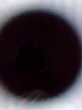 Cumnowd1 online show from October 19, 1:28 am