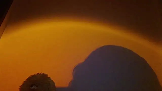 lia ana online show from March 24, 5:34 am