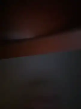 Michel huge online show from February 6, 5:45 am