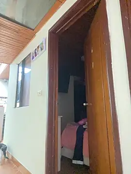 Snapshot of juliana-mancini chatting on January 8, 6:21 pm juliana-mancini online show from January 8, 6:21 pm