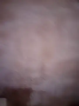 ddllrr224 online show from December 16, 11:43 pm